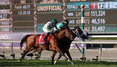 fixed odds horse racing tomorrow.